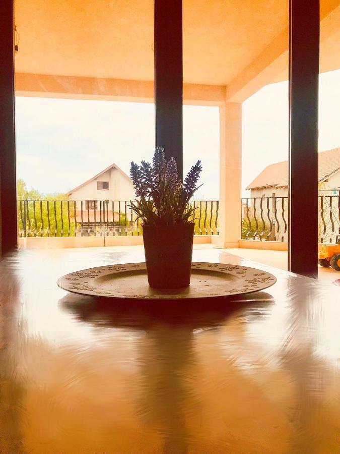 Breeze Villa Mamaia Nord Năvodari Εξωτερικό φωτογραφία